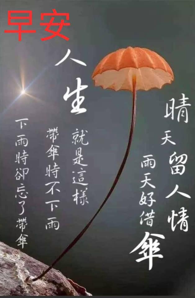 早安圖下載